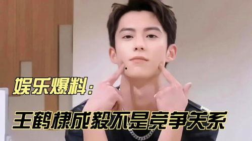 王鹤棣成毅最新八卦爆料,娱乐圈再掀波澜  第1张